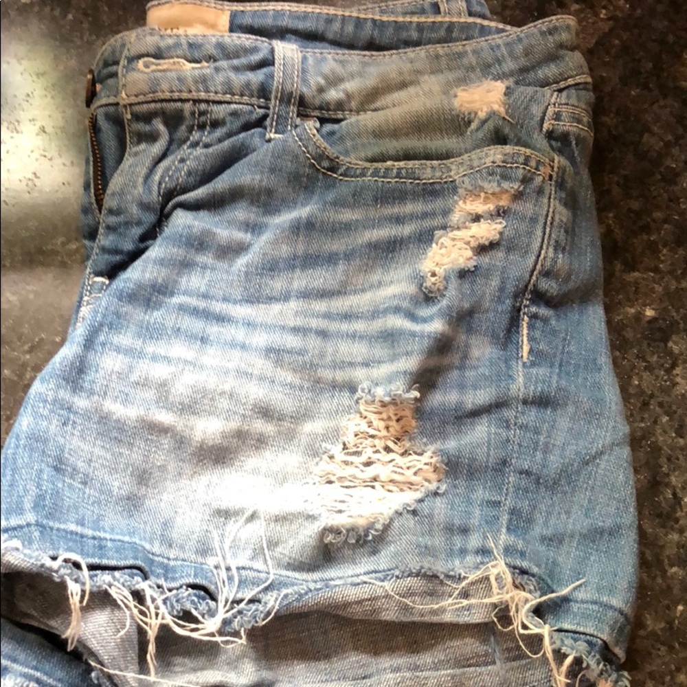 BKE Shorts